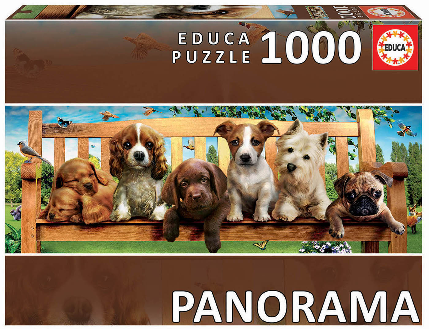 1000 Les chiots a la banque « Panorama »