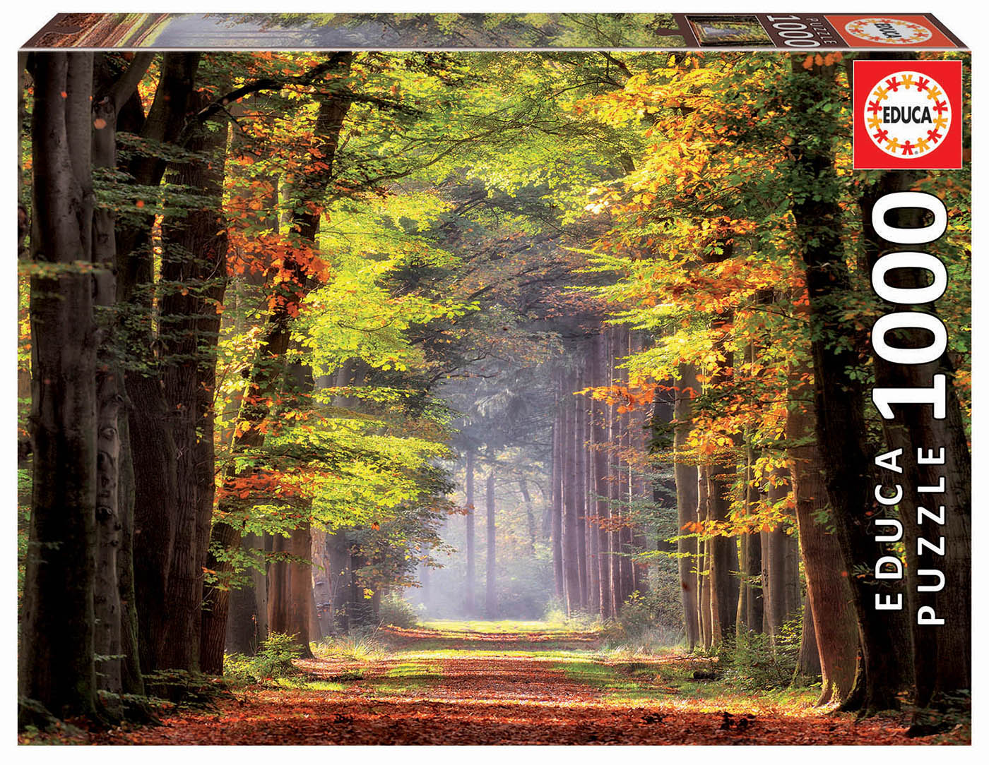 1000 Fall Walkway