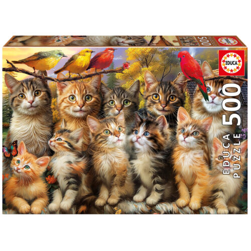 500 Chatons et Oiseaux