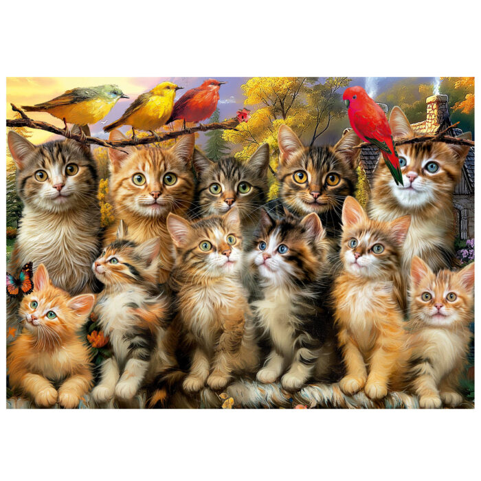 500 Kittens and Birds