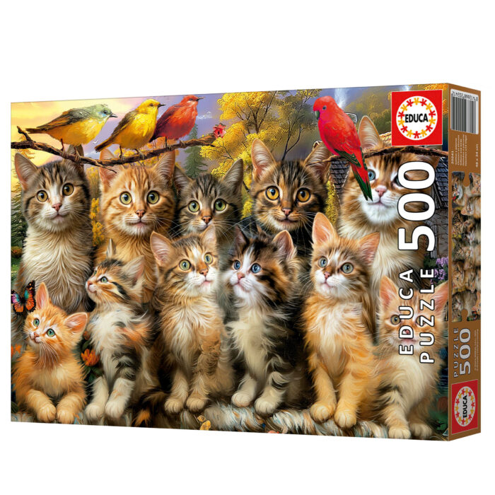 500 Kittens and Birds