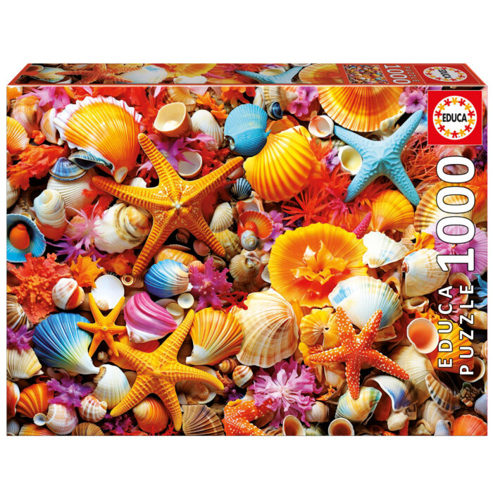 1000 Collage de Conchas