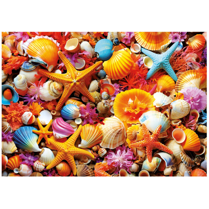 1000 Collage de Conchas