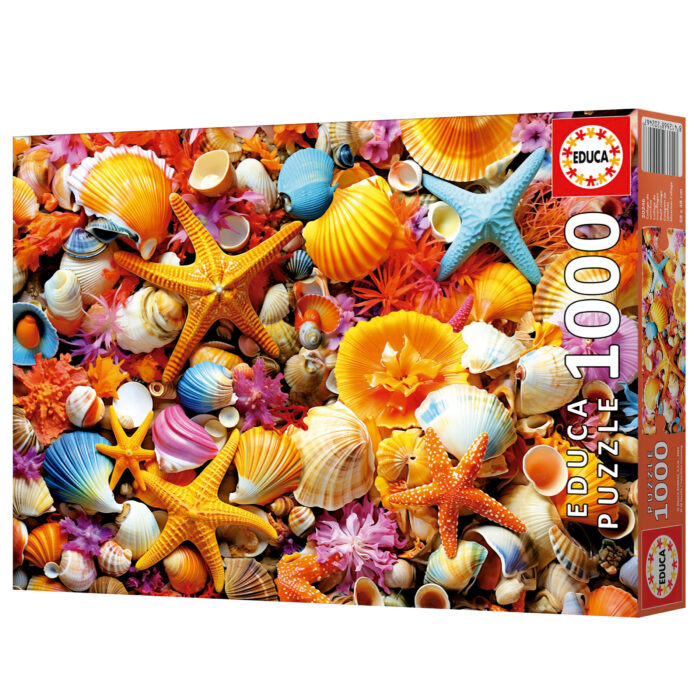 1000 Collage de Conchas