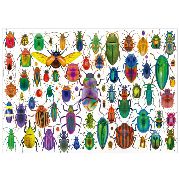500 Beetles