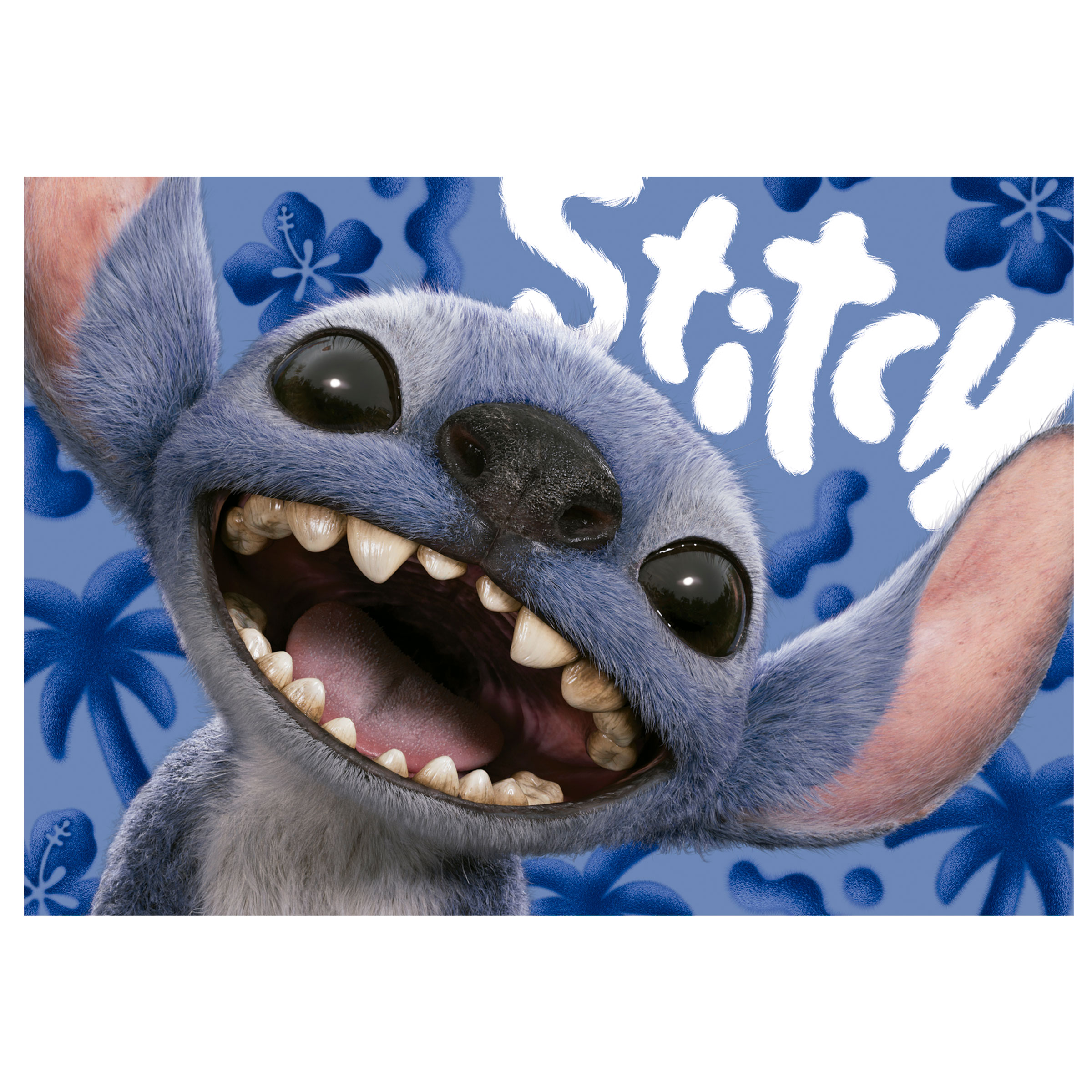 1000 Stitch Live Action