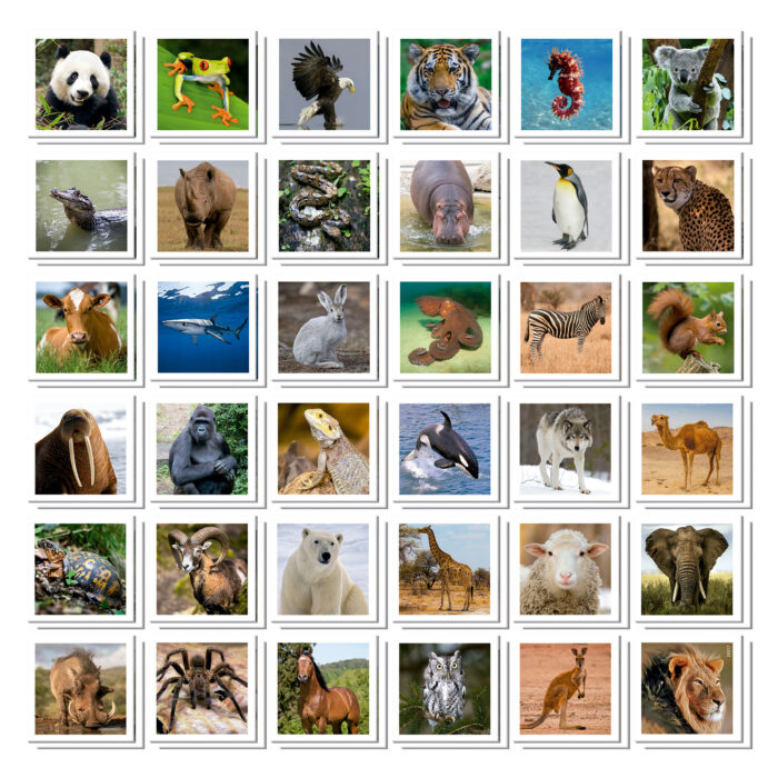 Identic Animals