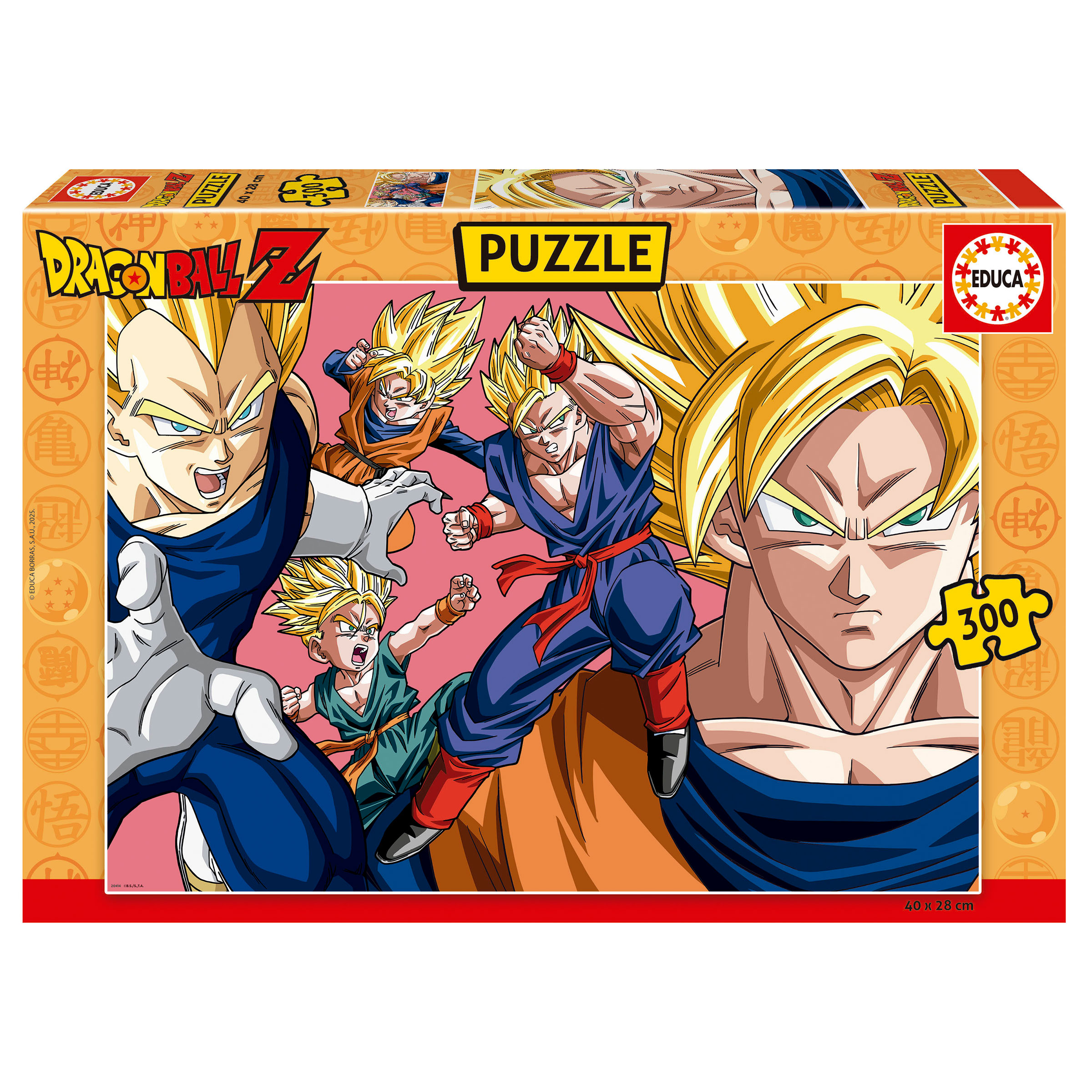 300 Dragon Ball Dbz